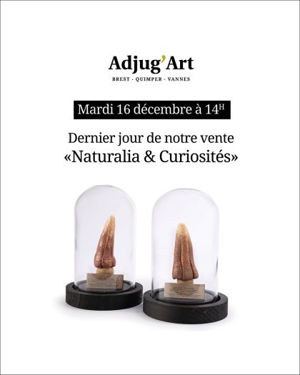 AdjugArt-quimper-naturalia-16-dec-2025-site-web-01