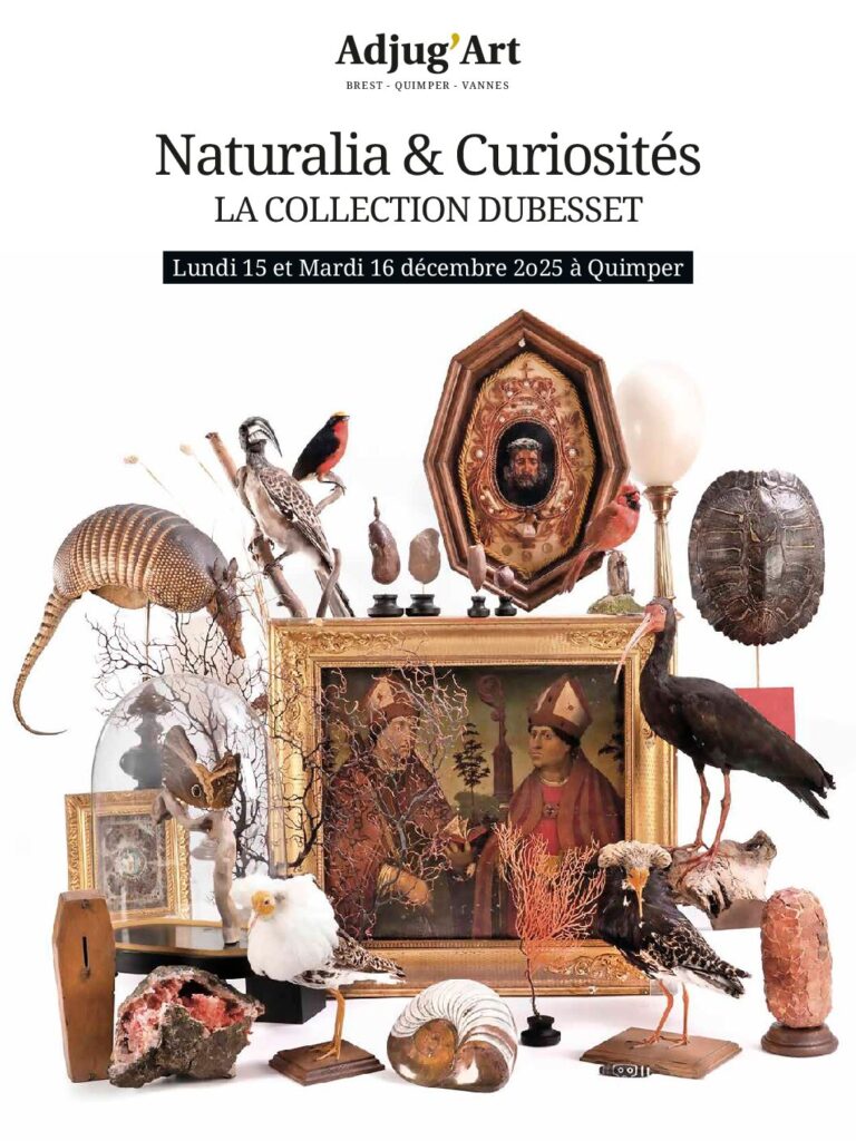 Couverture du catalogue — Naturalia et Curiosités Quimper