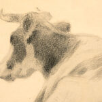 Photographie 1