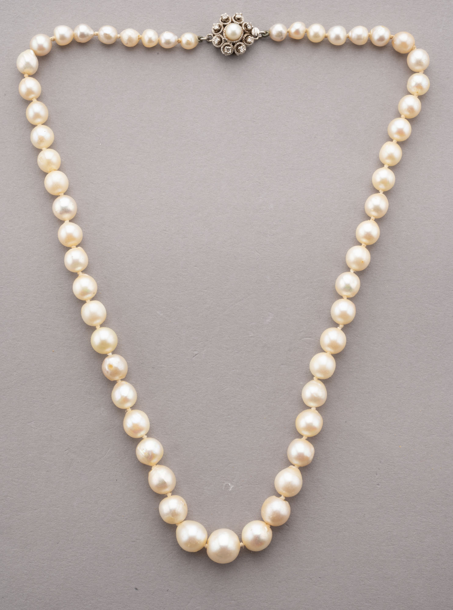COLLIER de perles de culture légèrement dorées, fermoir en or…